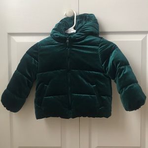 Velvet, Gymboree Winter jacket